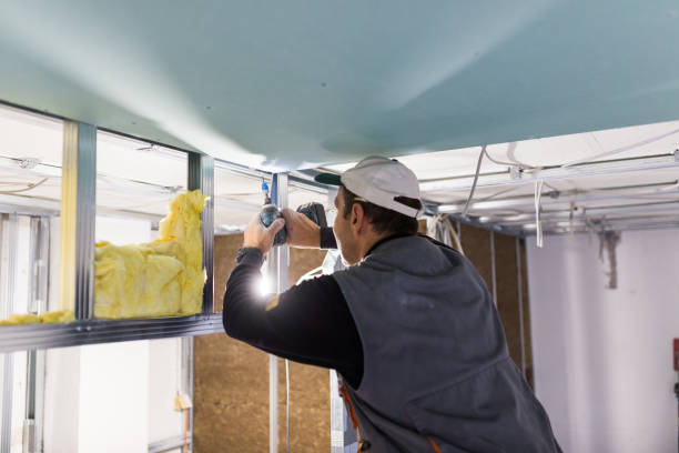 Best Batt and Roll Insulation  in Park City, IL